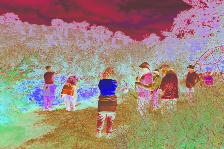 Apple Harvest Celebration