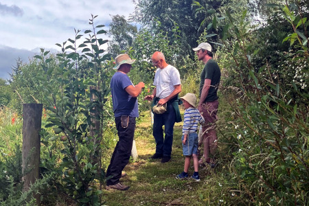Designing & Planting an Orchard