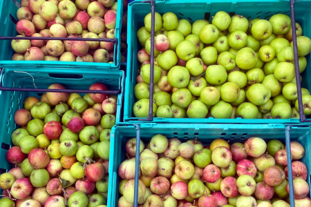 Irish Heritage Apples